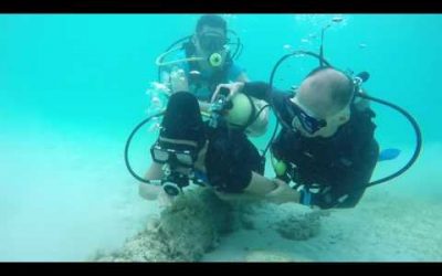 PWD Marine Dive 2017 At Perhentian Island